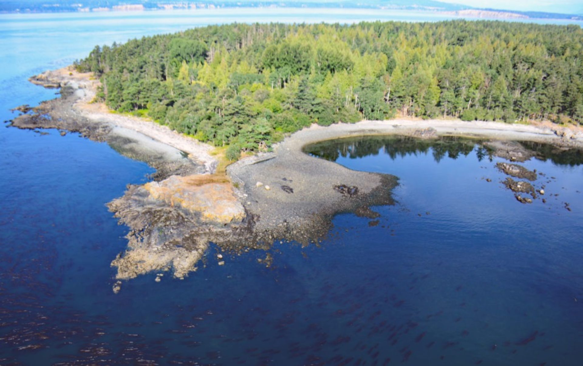 DArcy-Island-Web
