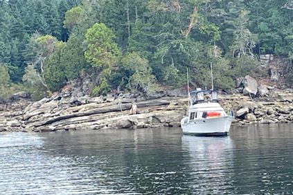 2023-10-24 - CVRD News Release - Bute Island Stern Ties - Draft -revised LW 2023-10-24 - CVRD News Release - Bute Island Stern Ties - Draft -revised LW